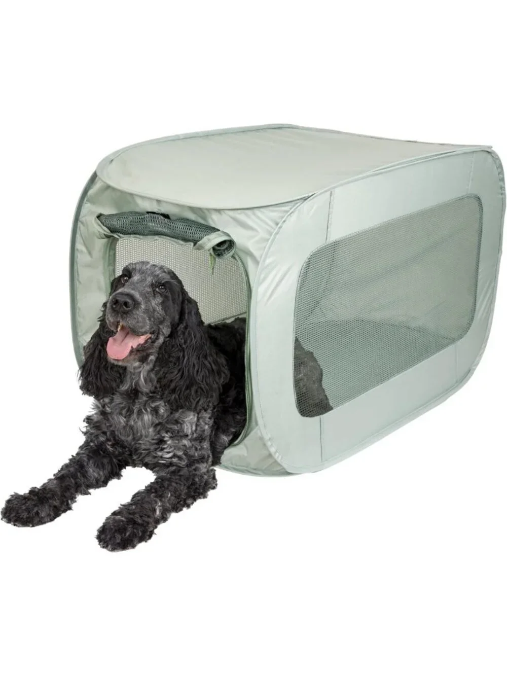 Soft-Sided Pop-Open Pet Kennel, Lightweight & Portable, Light Green Color